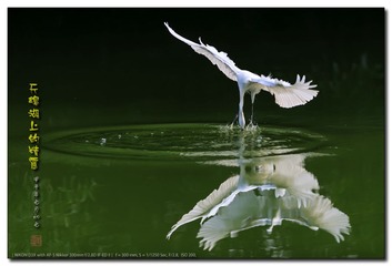 _GSD5548