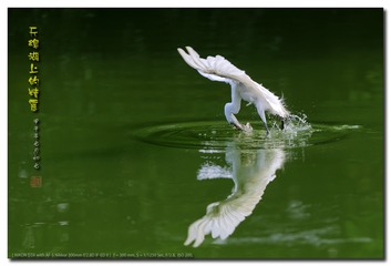 _GSD5553