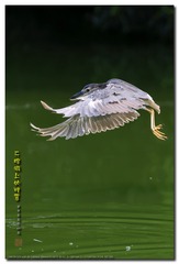 _GSD5565