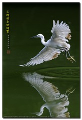 _GSD5587