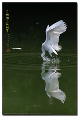 _GSD5589