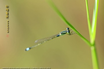 _FJ45793