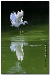 _GSD5879