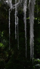 _FJ47682