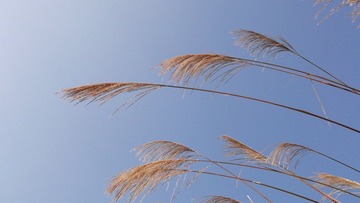 DSCF1048.JPG
