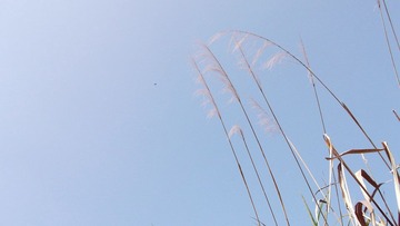 DSCF1050.JPG