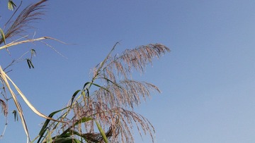 DSCF1057.JPG