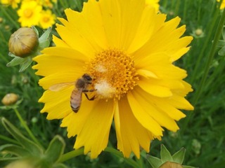 DSCF2199.JPG