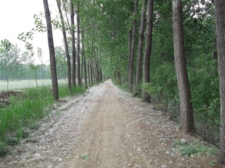DSCF2077.JPG