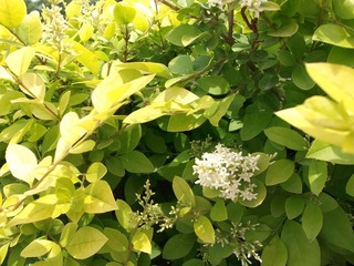 DSCF2161.JPG