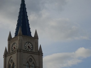 1000039116