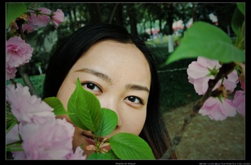 DSC_9352_.jpg
