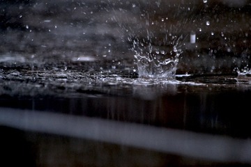 DSC_1508.jpg