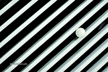 Zebra。