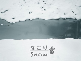13.2.19 snow.jpg