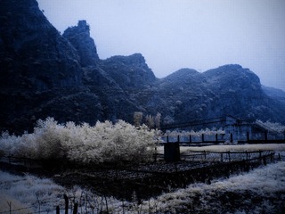CRW_0154.jpg