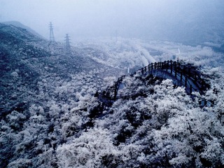 CRW_0183.jpg