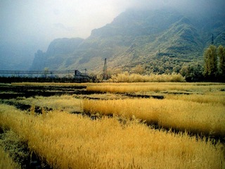 CRW_0198.jpg