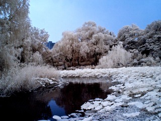 CRW_0295.jpg