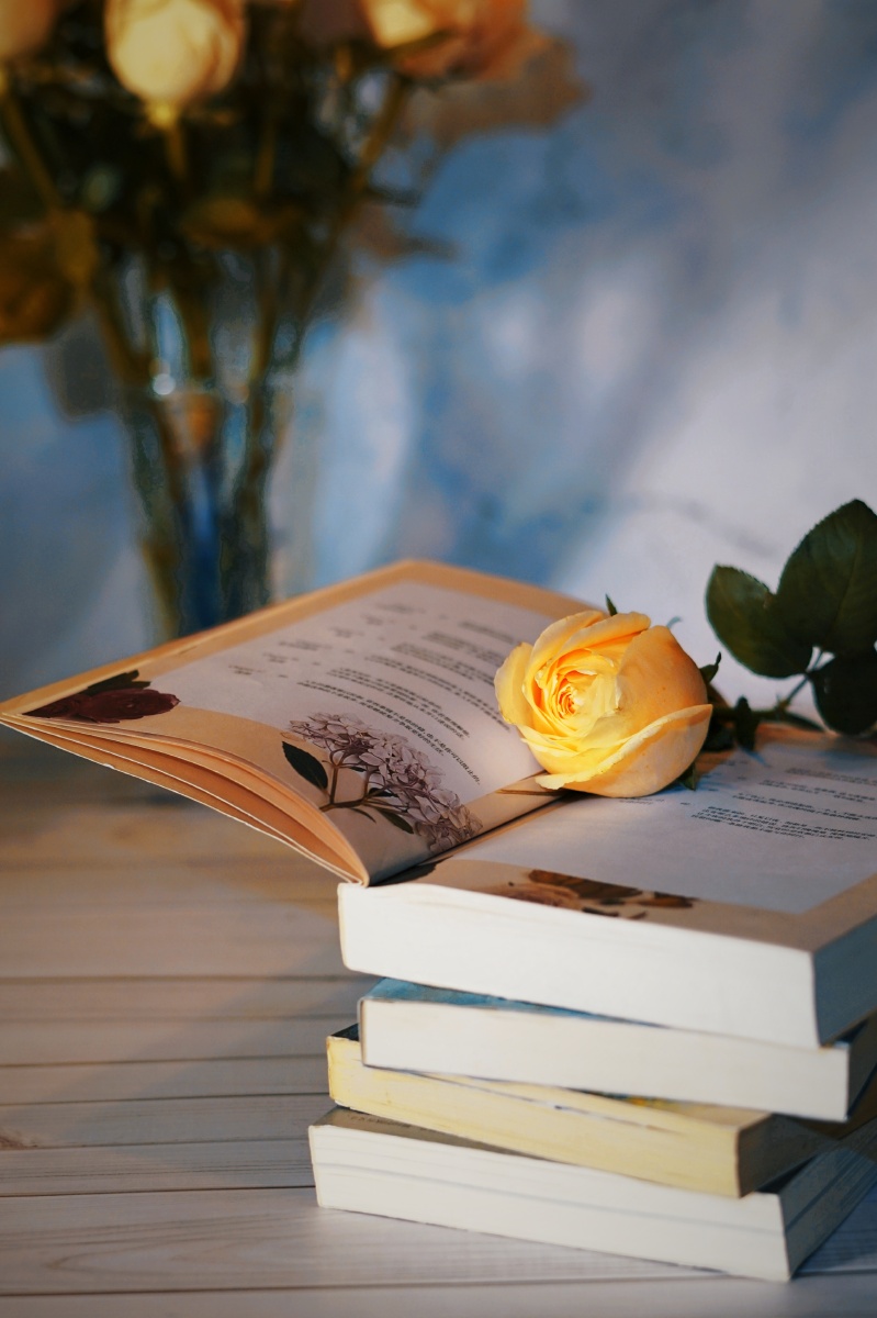 玫瑰花伴书香静物
