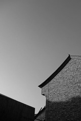 DSC00039副本.jpg