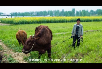 汉中游记 064_