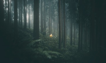 8781