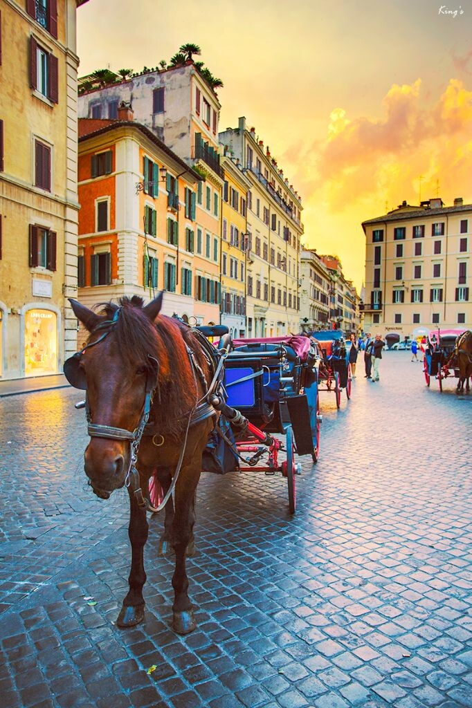 吃饭过后，经过罗马西班牙广场，正巧夕阳西下，街道尽头金色阳光洒向广场，马车排着队等待游客，现在还没到回家的时刻。<br />
