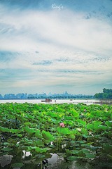 DPP_0063_HDR 副本.jpg