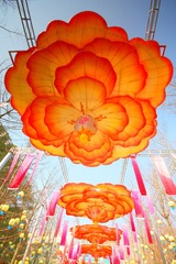 IMG_2312_conew1