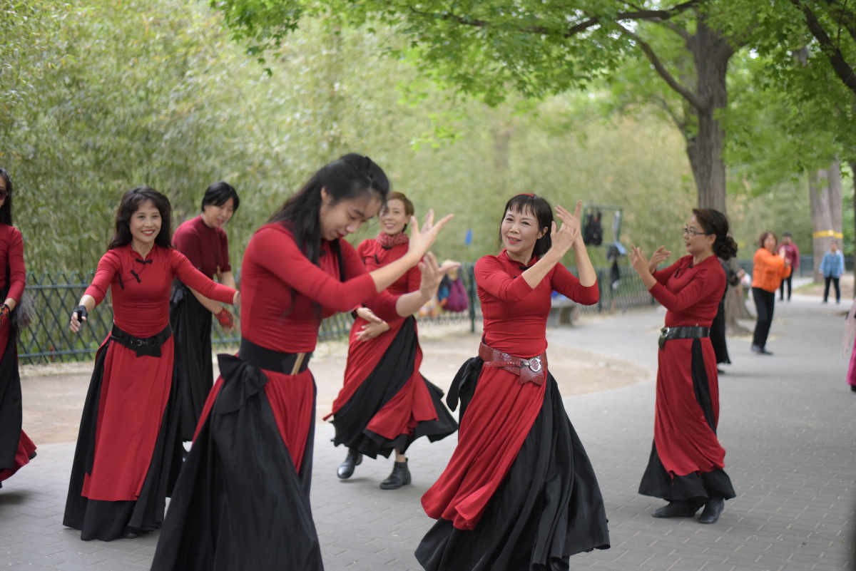 紫竹院公园跳舞的美女