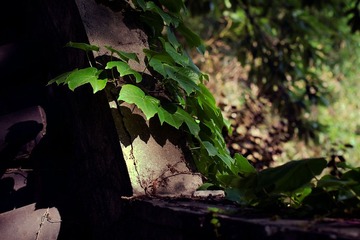 _DSC0014