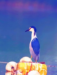 147721