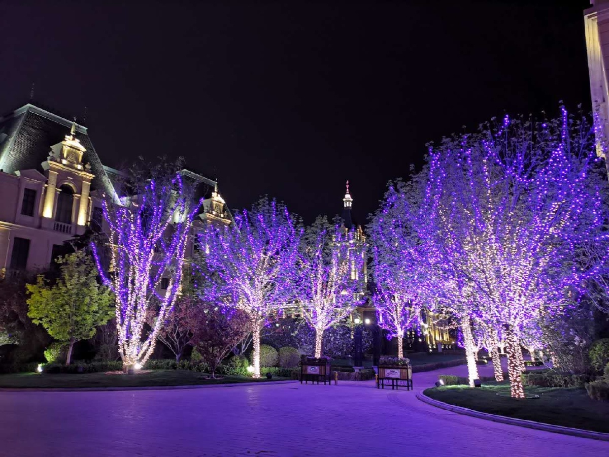 夜幕下的美…… - 我的寻梦园 - 图虫