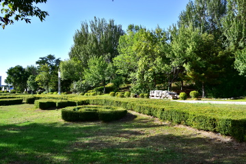 ZXP_0977