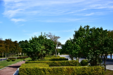 ZXP_0967