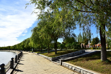 ZXP_0972