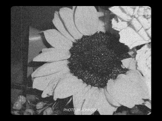 1000190974