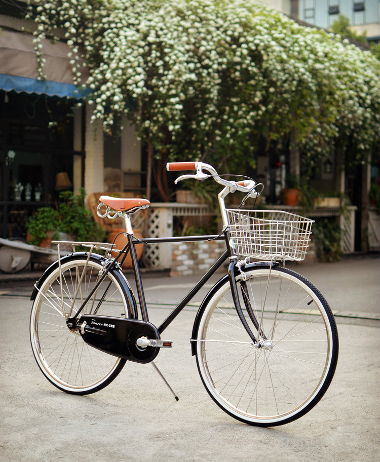 永久c北山复古自行车