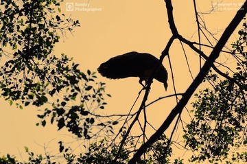 DSC_0319-1-web-20121216.jpg