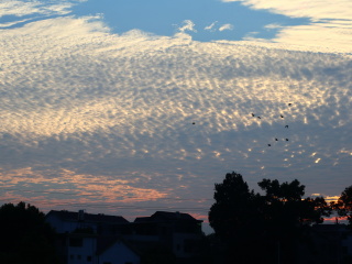 120099