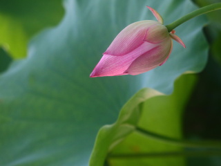 120091