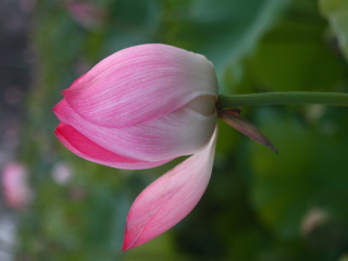 120089