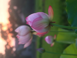 120092