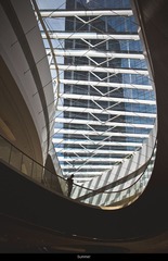 IMG_8398.jpg