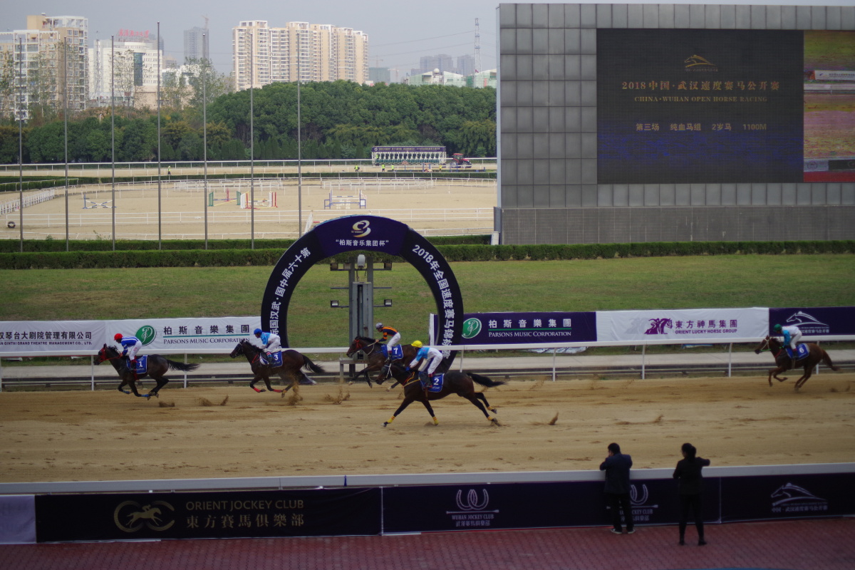 马术比赛对马有什么要求,2022年马术比赛什么时间进行