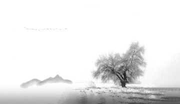 0F5D02D1-0B6E-4A74-9573-909D82C13071/L0/001