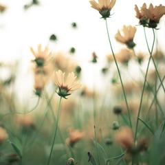 _IGP7861.jpg