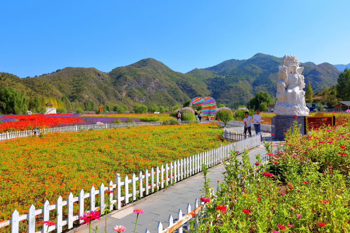 人间花海景区随拍