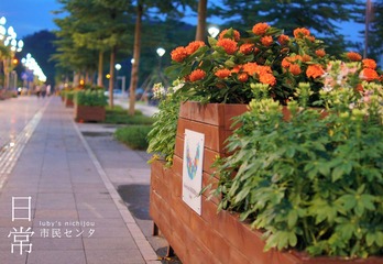 日常之市民中心